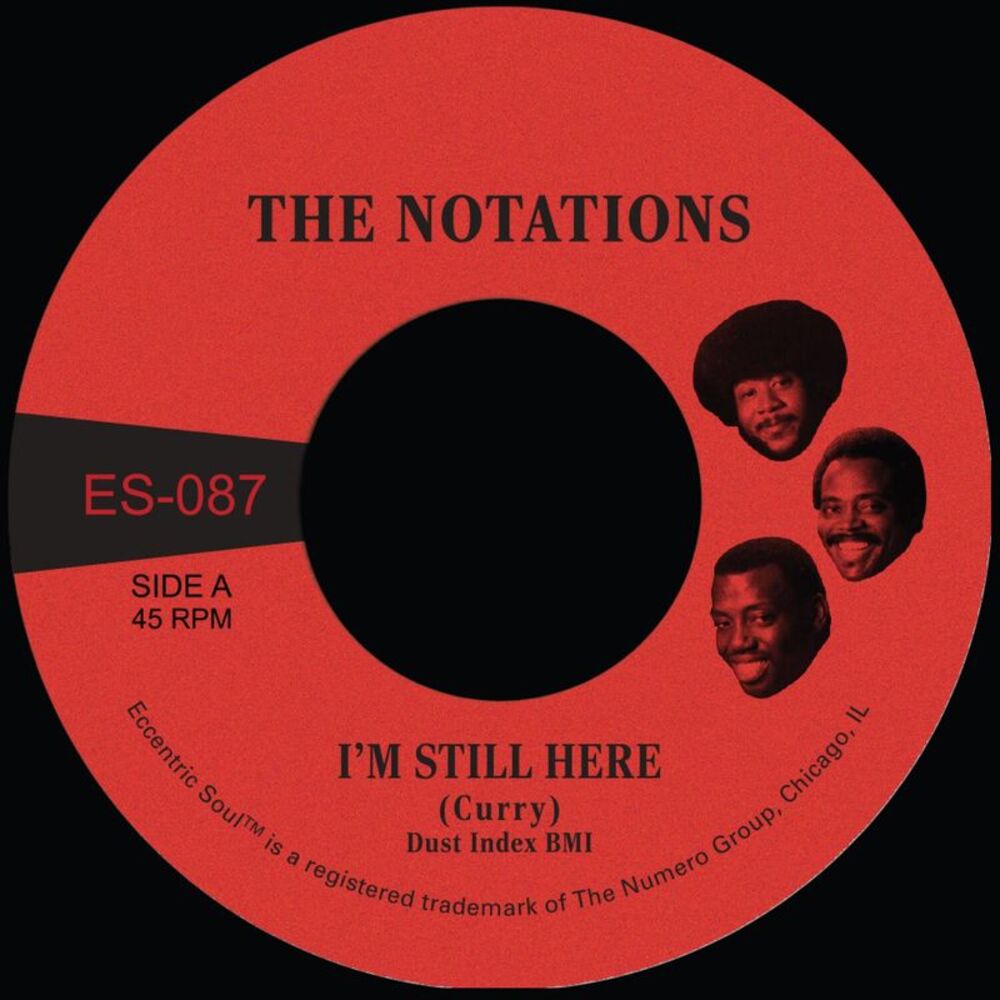 Notations - I'm Still Here B/W What More Can I Say - White  7-INCH SINGLE